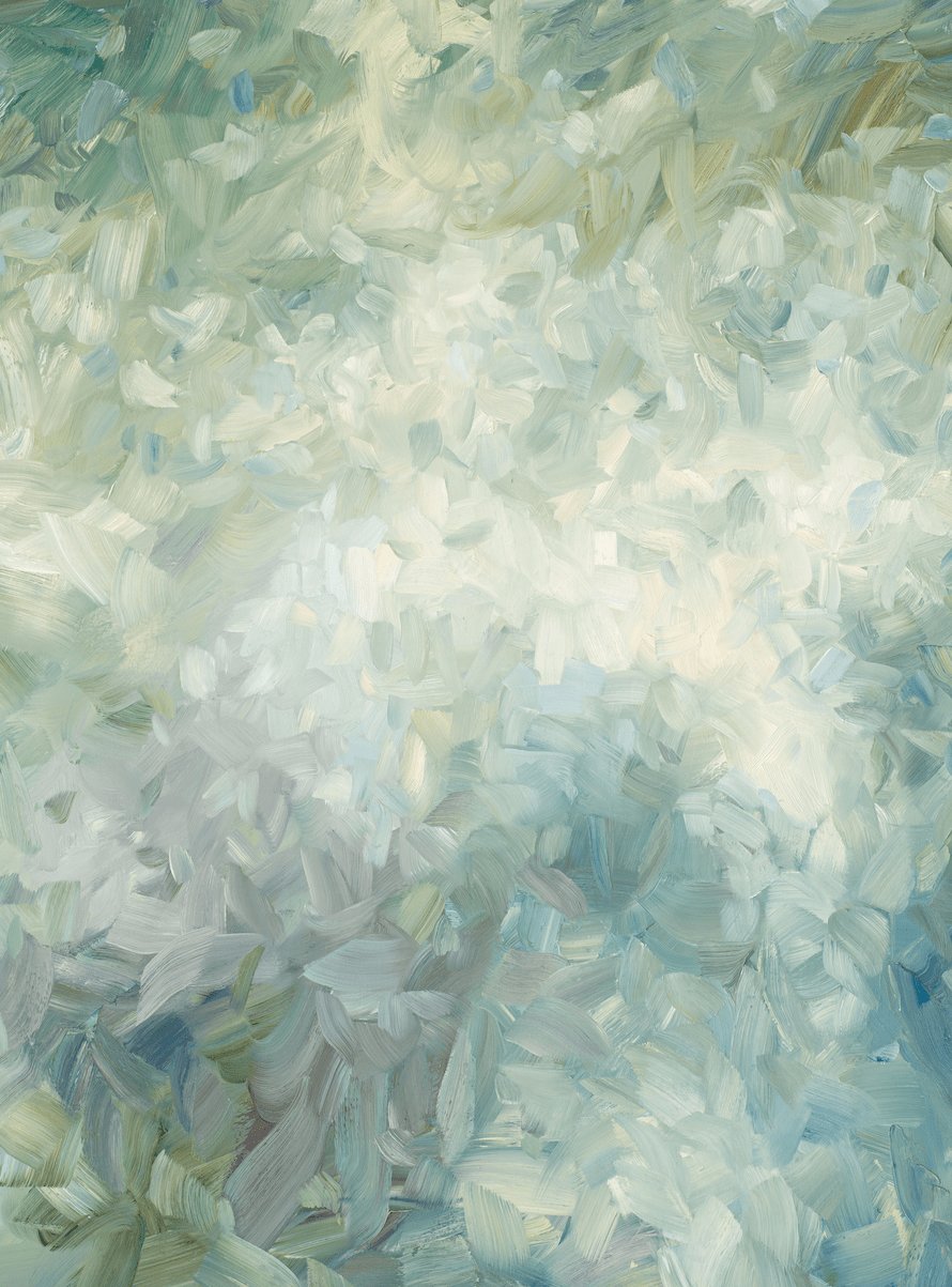 Light of Neutrality: Fragments of Nature