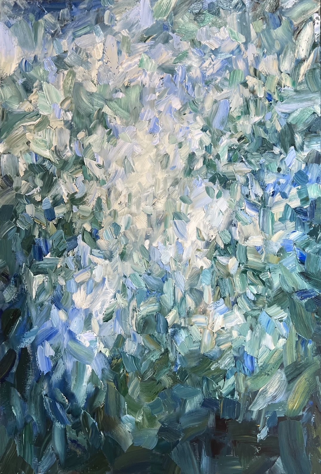 Illuminated: Fragments of Nature